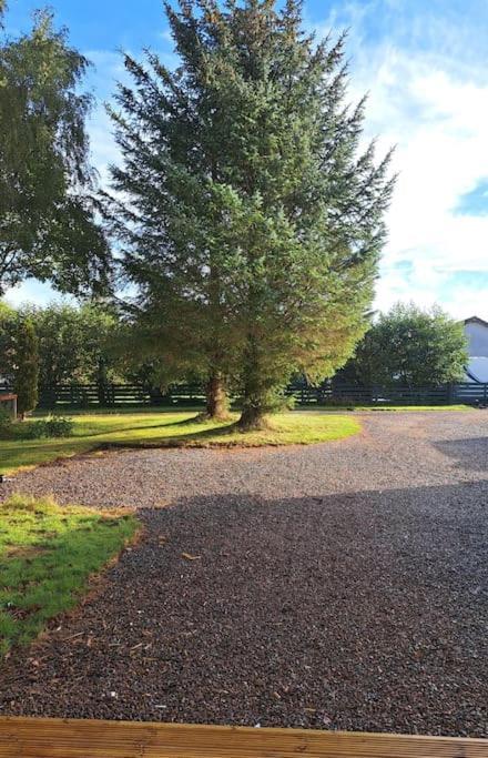 Little Slioch Cottage- A Break From City Life Avoch Exteriér fotografie